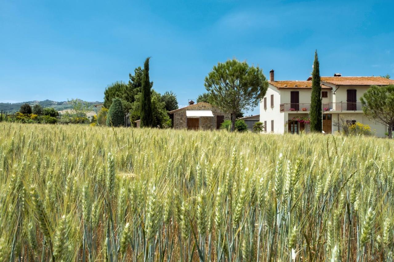 Agriturismo San Marcello カスティリオーネ・ドルチャ エクステリア 写真