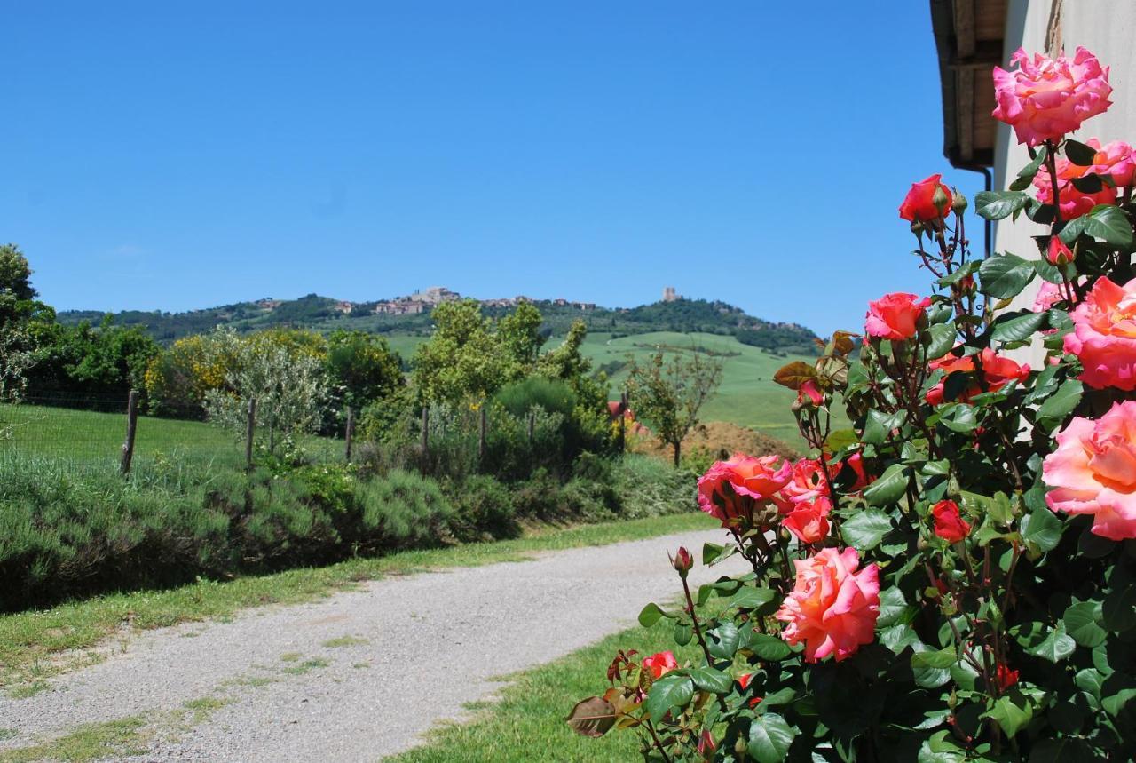 Agriturismo San Marcello カスティリオーネ・ドルチャ エクステリア 写真